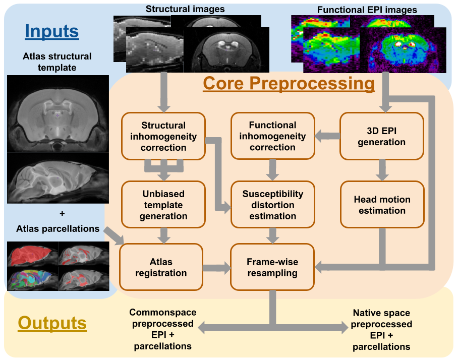Diagram of the RABIES preprocessing workflow